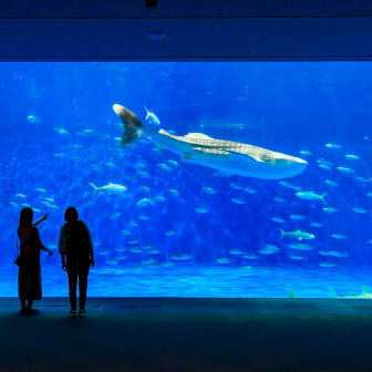 いおワールド かごしま水族館