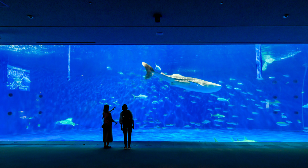 いおワールド　かごしま水族館